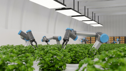 Inteligência Artificial no Agronegócio