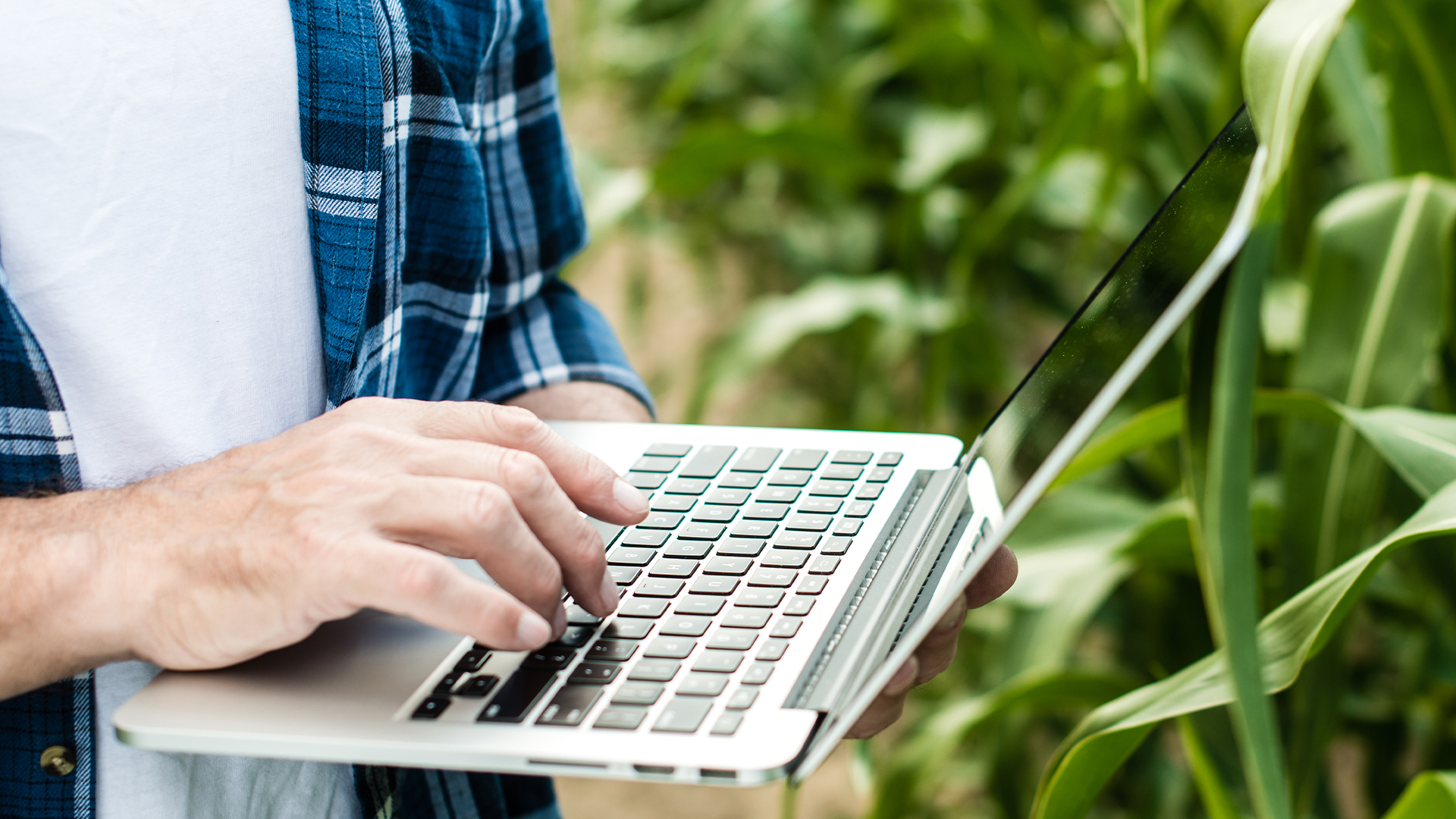 Oportunidade de negócio para vendedores de drones agrícolas