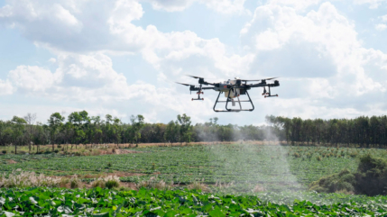 Entenda como os drones agrícolas ajudam na produtividade no campo