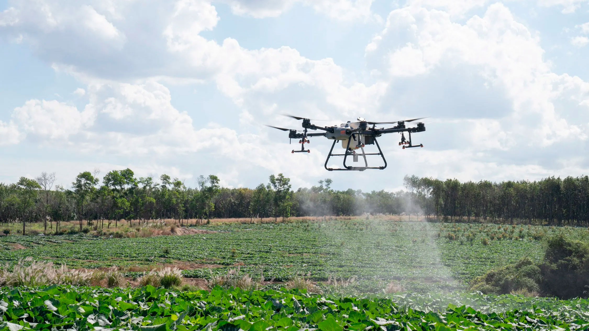 Entenda como os drones agrícolas ajudam na produtividade no campo