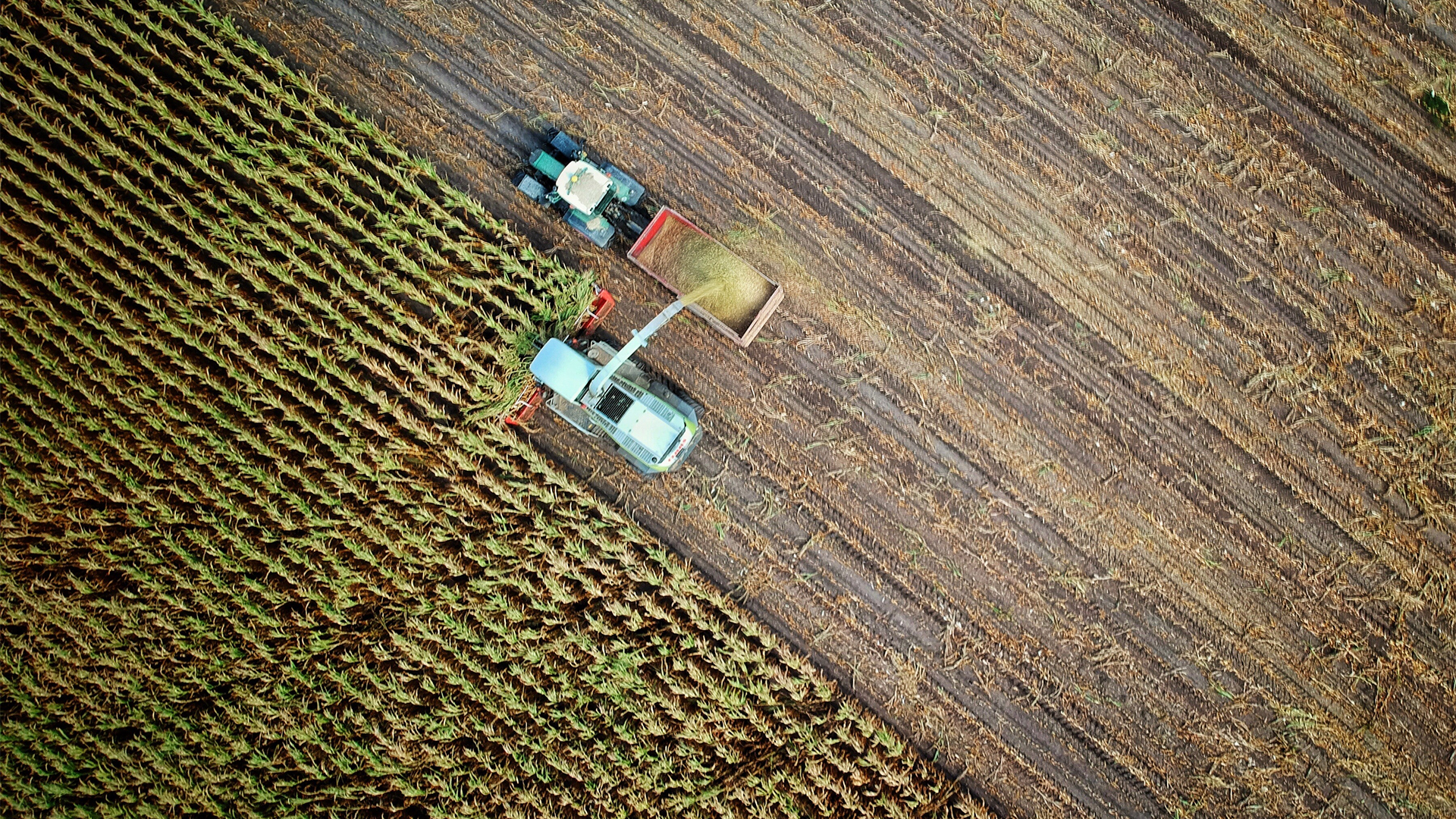 Agronegócio mineiro bate recorde de exportação em 2022