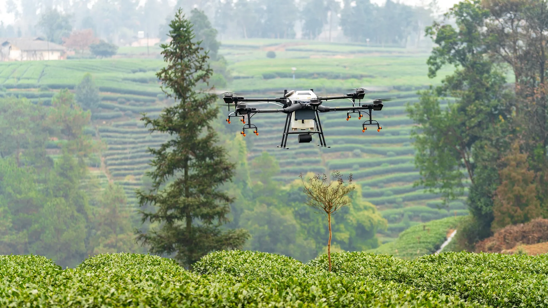 A oportunidade entrar no mercado dos drones agrícolas