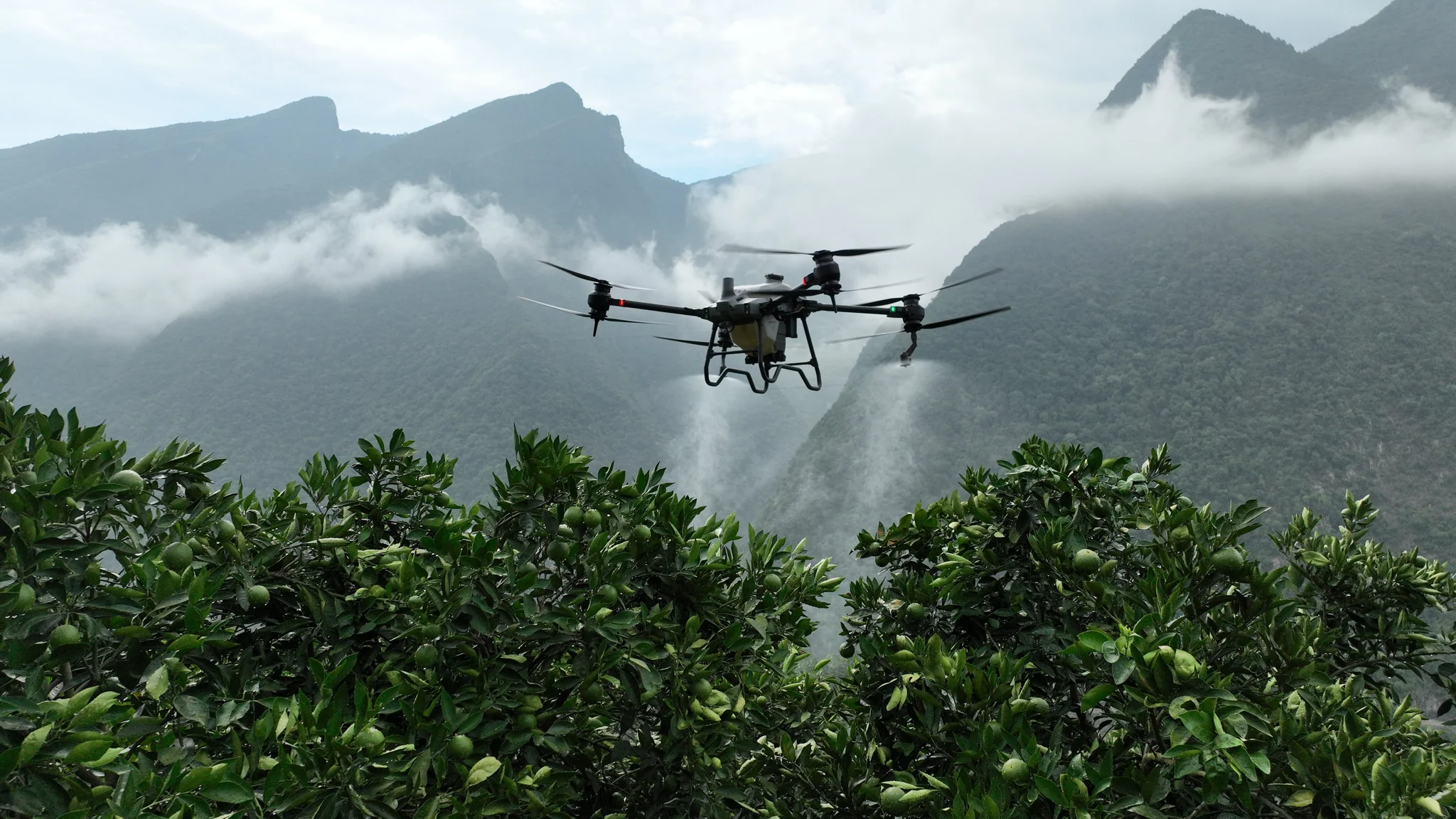 5 Funções dos Drones na Agricultura