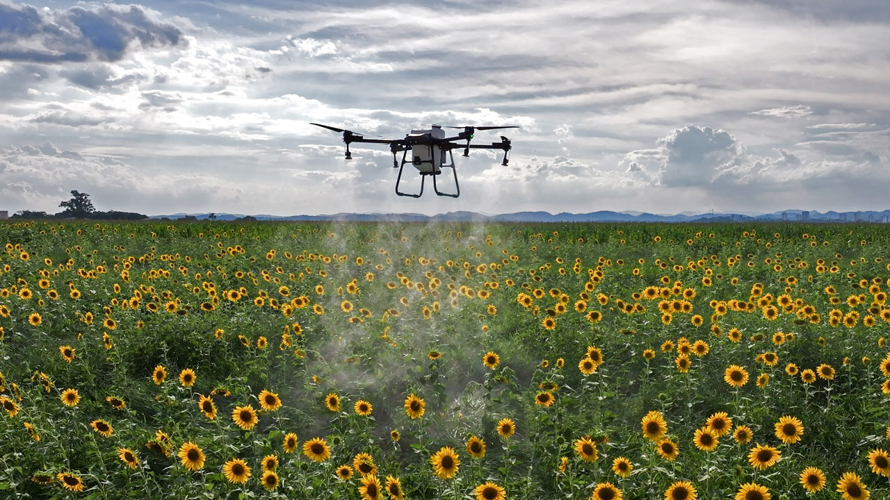 5 benefícios dos drones agrícolas